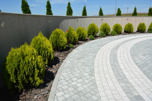 Reasons to Select Us for Your Driveway Paving Requirements in Quartz Hill, CA